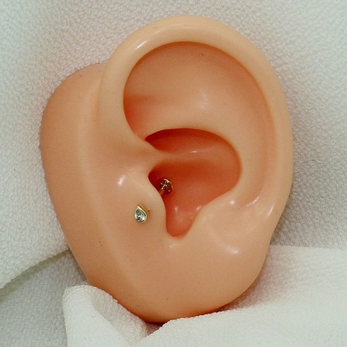 Damla Tektaş Altın Tragus Piercing - Thumbnail