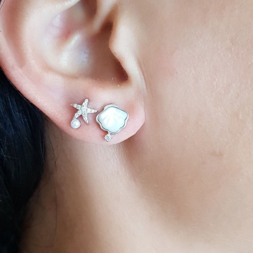 Starfish Oyster Silver Women's Earrings - 1