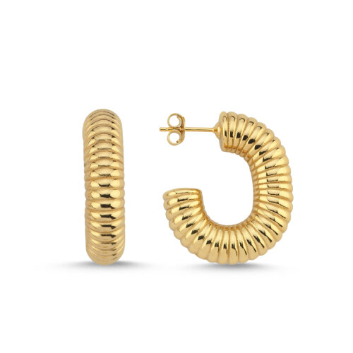 Halka Çizgili Gold Kadın Gümüş Küpe - CNG Jewels