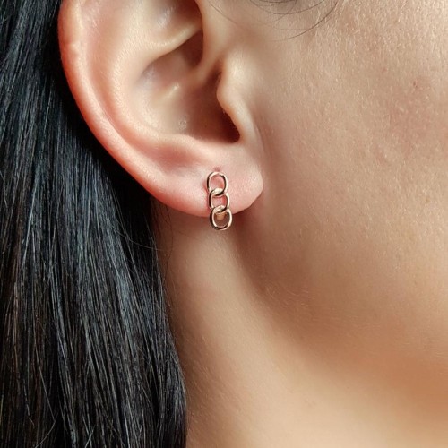 Small Gurmet Rose Women's Silver Earrings - CNG Jewels