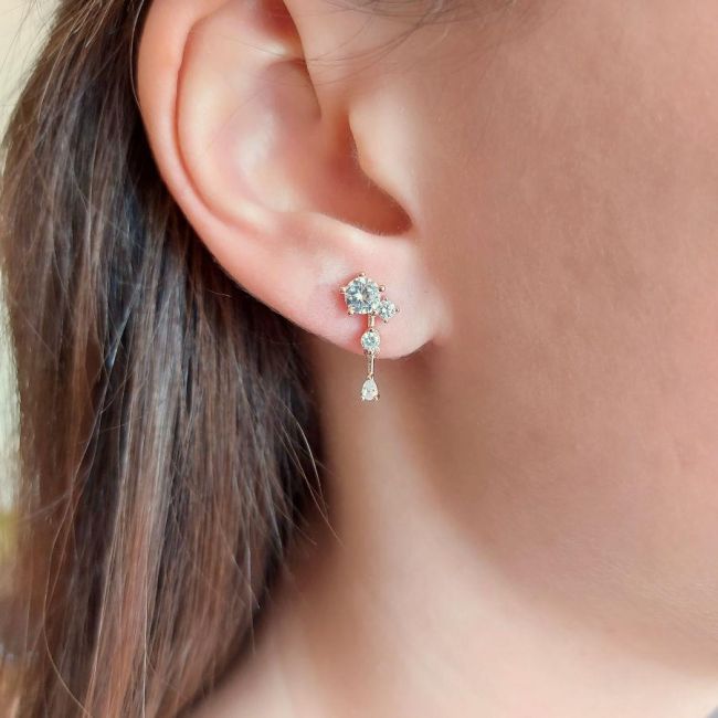 Shine Stone Rose Women's Silver Earrings - 1