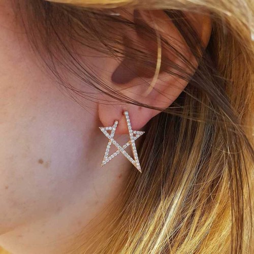 Modern Star Rose Silver Earrings with Stones - 1