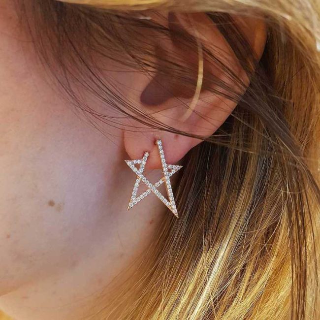 Modern Star Rose Silver Earrings with Stones - 1